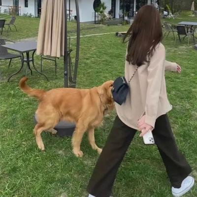 拖车公园男孩