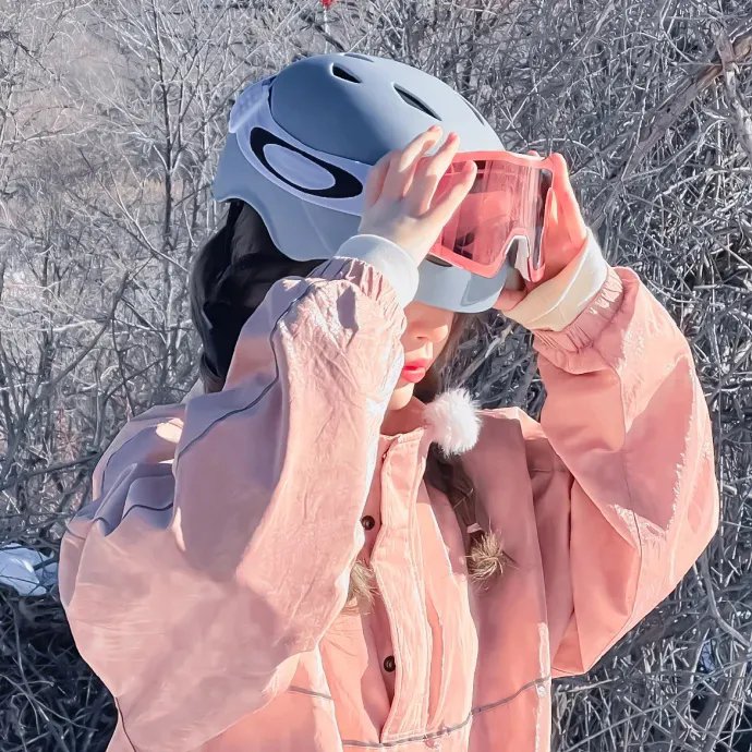雪域丹青